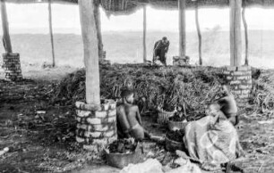 Sammelstätte : Frauen an einer überdachten Sammelstätte einer Plantage