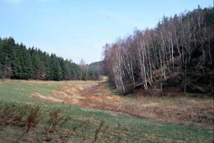 Weg zum Röschnitzgrund