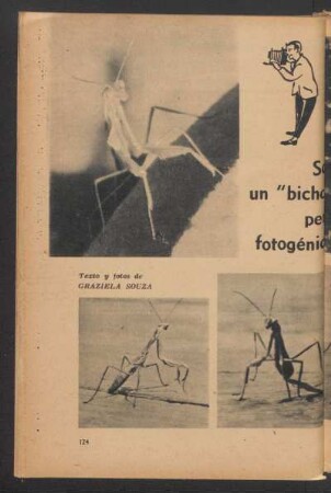 Soy un "bicho" pero fotogénico