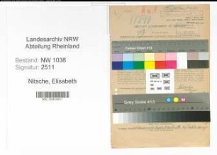 Entnazifizierung Elisabeth Nitsche , geb. 03.12.1892 (Fuersorgerin)