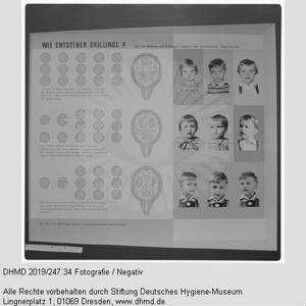 Nationale Hygiene-Ausstellung - Raum 14 - "Wie entstehen Zwillinge?"