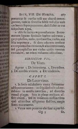 Subsectio VII. De Vinea