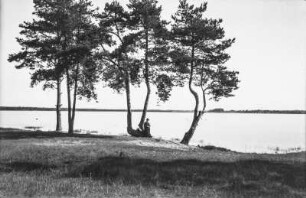 Uferansicht : Ufer bei Daugvapils