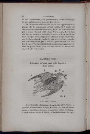 Capitolo Nono. Spiegazione de' nomi usati nelle descrizioni degli Uccelli.