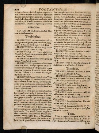 700-710, Terra Virginea nunquam maledicta ...; ...