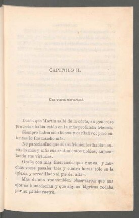 Capítulo II. - Una visita misteriosa.