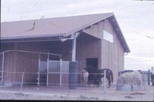 Fotografie: Pferdehaltung, Boxenstall, Fütterungstechnik