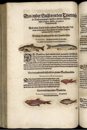 Das andere Buch von den Thieren so in Wassern wohnen, welches allerley Fisch der süssen Wassern, Flüssen, oder anderer Bächen begreifft.