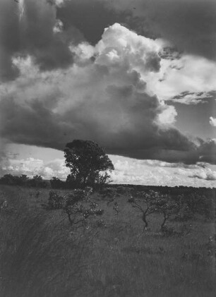 Savanne : Wolken über einer Savanne in Tansania