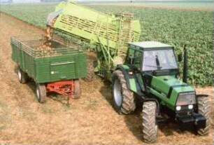 Fotografie: Erntetechnik, Zuckerrübe, Zuckerrübenköpfrodebunker gezogen, Be- und Entladen, Zweiachsanhänger