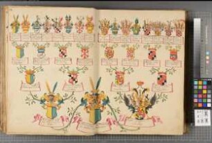 Proband: Plettenberg, Friedrich [Ludwig Noel Franz Ignaz Anton] Graf von; Vater: Plettenberg, Franz Joseph Graf von; Mutter: Lamberg, Aloysia Gräfin von: Paderborn, Domkapitel