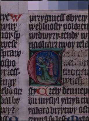 fol. 46r, Initiale mit Text