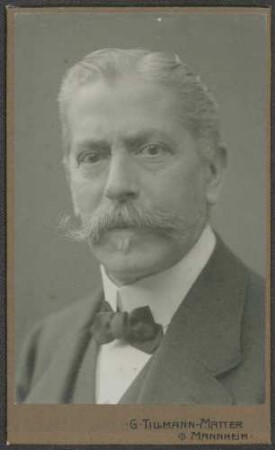Mayer, Emil, Nationalliberale