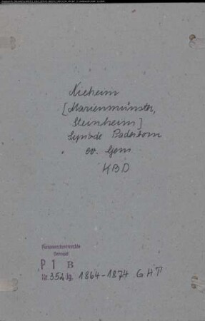 Kirchenbuchduplikate der evangelischen Gemeinde Marienmünster-Nieheim-Steinheim, Kreis Höxter (GHT 1864-1874) (Gemeinde: Evangelische Gemeinde Marienmünster-Nieheim-Steinheim)