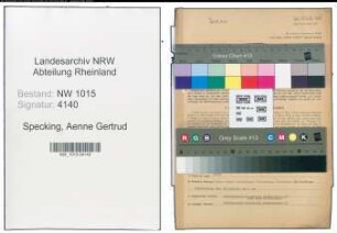 Entnazifizierung Aenne Gertrud Specking , geb. 09.01.1900 (Lehrerin)