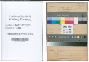 Entnazifizierung Wilhelmine Nuesperling , geb. 11.06.1901 (Angestellter)