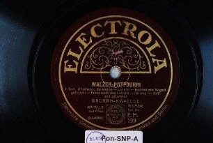 Walzer-Potpourri : I. Teil; (Fischerin, du kleine; Lorelei; Kommt ein Vogerl geflogen; Freut euch des Lebens; Ich lieg im Bett und schwitze)
