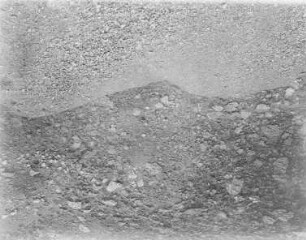 Rieselkohle (Henry Potonié) : Geologie | Kohlengeologie | Entstehung der Kohle