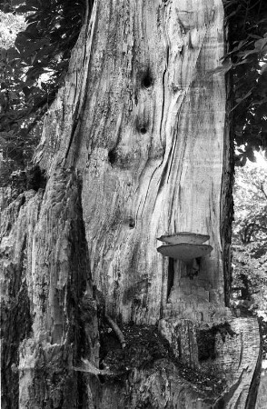 Blumberg : In Blumberg, Lenné-Park