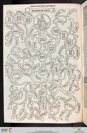 Liber Nonus