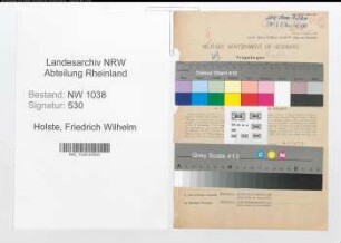 Entnazifizierung Friedrich Wilhelm Holste , geb. 02.11.1890 (Beamter)