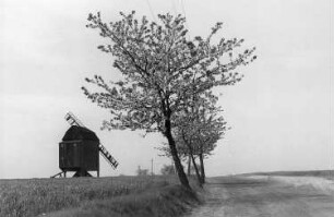 Cavertitz-Zeuckritz. Blick zur Bockmühle