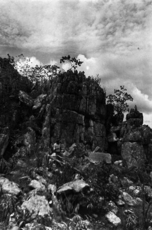Quarzitfelsen : Dünn geschichteter weißer Quarzit.