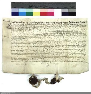 Kapitulation des Julius [Echter von Mespelbrunn], Bischof von Würzburg, Administrator des Stifts Fulda, mit dem Domkapitel