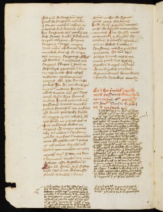 Sermones