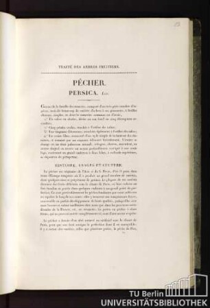 Traité des arbres fruitiers. Pêcher. Persica. Lin.