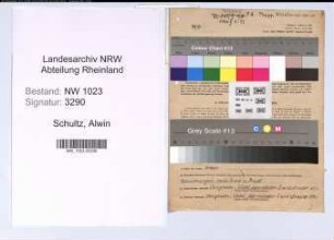 Entnazifizierung Alwin Schultz , geb. 23.09.1889 (Angestellter)
