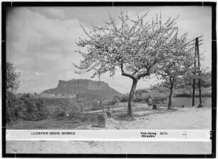 Lilienstein