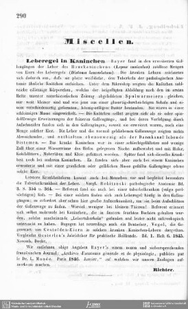 Leberregel in Kaninchen.