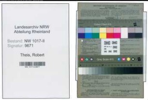 Entnazifizierung Robert Theis , geb. 26.03.1903 (Angestellter)