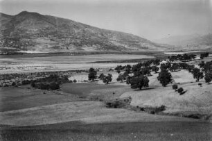 Landschaftsblick : Blick über Weizenfelder, Weinreben und Ölbäume.