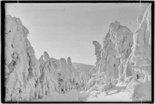 Keilberg (Klínovec). Winterlandschaft