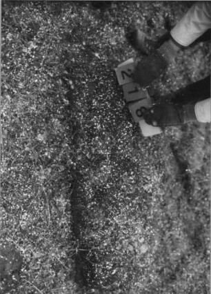 Grabstein 218 (Index: 100115103) Beschreibung: nur Sockel: Grabstein 218