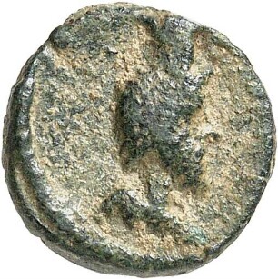 Palmyra