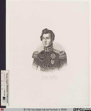Bildnis Albert (Franz Carl August Emanuel) Prinz von Sachsen-Coburg -Saalfeld (ab 1826 S.-C. u. Gotha), kgl. Prinzgemahl