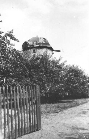 Otterwisch-Großbuch. Turmholländer, Repro