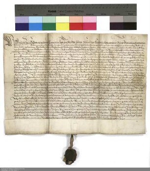 Lehenbrief Wilhelms [Hartmann von Klauer zu Wohra], Abt von Fulda, für Eberhard von Buchenau zu Buchenau über das Schloss Buchenau und weitere im Einzelnen aufgeführte Lehen
