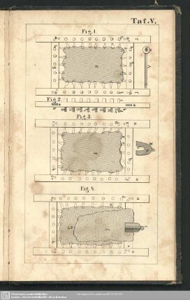 Taf. V. Fig. 1 - Fig. 4