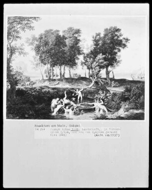 Landschaft mit dem Raub des Hylas