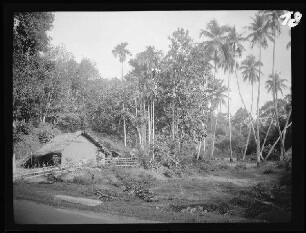 zwischen Colombo und Kandy (beide Sri Lanka): Hütte und Urwald