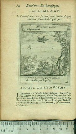 Embleme XXVI. Le Fauconfondant une seconde fois sur la méme Proye, en deuient plus ardent & plus fier.