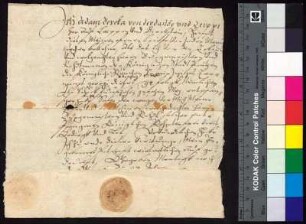 Adam Berka von Duba auf Böhmisch Leipa (Leippen) und Bürgstein (Birckstein) bestätigt Bürgermeister und Rat der Stadt Bautzen den Empfang der königlichen Jahrrente, die zu Georgi 1597 zu entrichten war