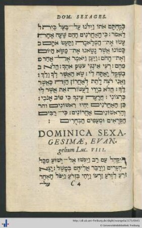 Dominica Sexagesimae, Evangelium Luc. VIII.