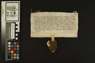 Mainz (St. Stephan): Indulgenzbrief des Bischofs von Osnabrück für das St. Stephansstift zu Mainz