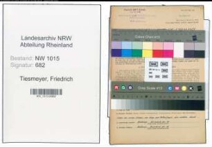 Entnazifizierung Friedrich Tiesmeyer , geb. 08.01.1905 (Ingenieur)