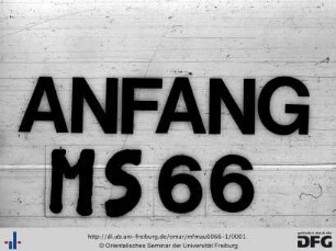 MF Mau 66/1: [ohne Titel]: [Sammlung von 50 Blättern]